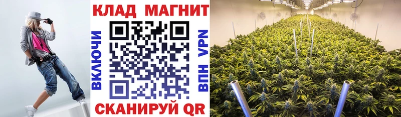 Продажа наркотиков Яхрома СК  Меф мяу мяу  ГАШ  Марихуана  Cocaine 