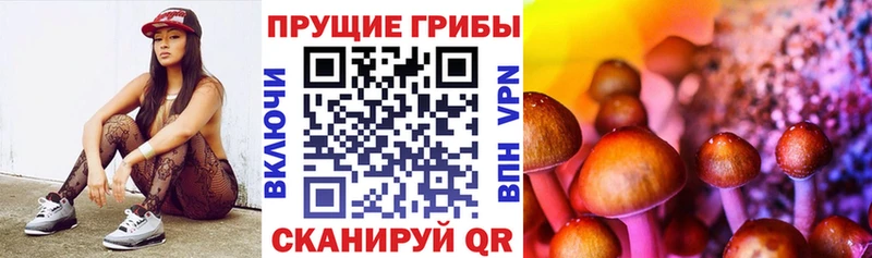 Псилоцибиновые грибы Magic Shrooms  наркотики  Яхрома 
